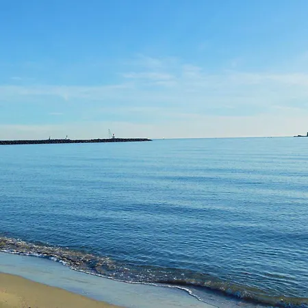 Bel Climatise Avec Terrasse, Piscine Et Garage A 300m De La Plage Du Mole. - Fr-1-249-400 Apartmán *
